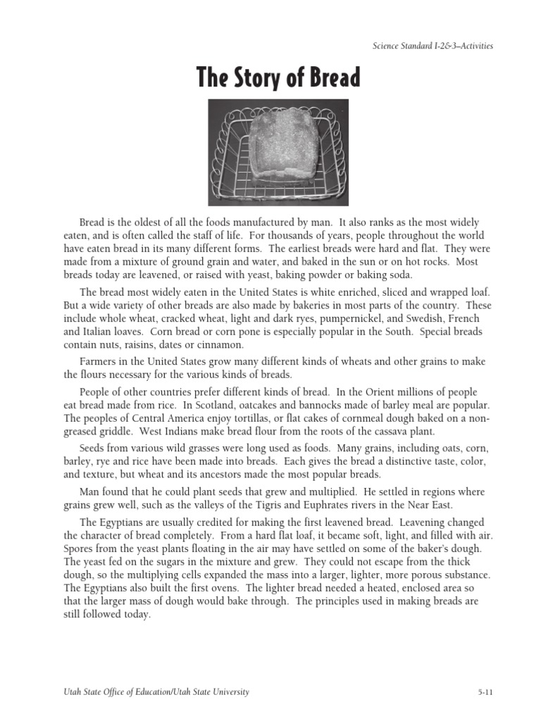 The Story of Bread PDF Breads Dough