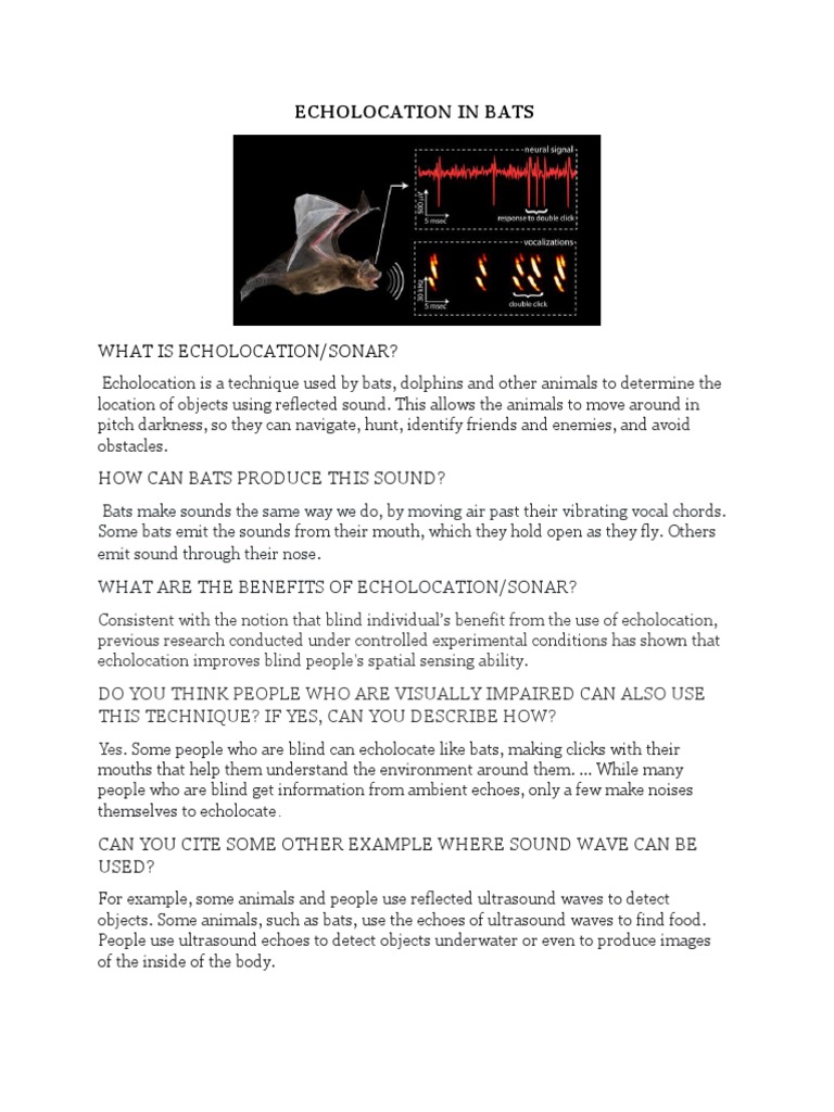 Echolocation in Bats and Humans | PDF | Language Arts & Discipline ...