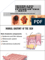 Tumors and Tumor-like Conditions of the Skin (1)
