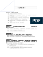 3476 Utilizarea Analizei Economico Financiare in Decizia de Creditare S.C. XYZ S.A. Alexandria