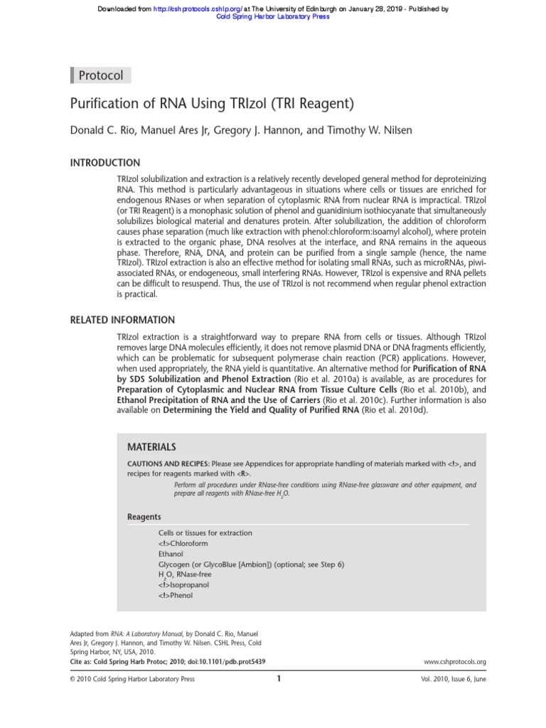 TRIzol Extraction RNA PDF Protein Purification Laboratories