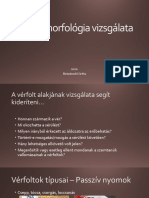 Vérfoltmorfológia Vizsgálata