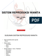 13 Sistem Reproduksi Wanita (200108)