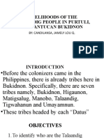 Livelihoods of The Talaandig People in Purtulin
