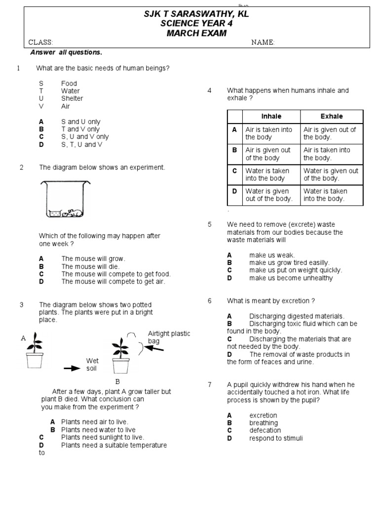 Exam Paper Year 4 Leaf Carbon