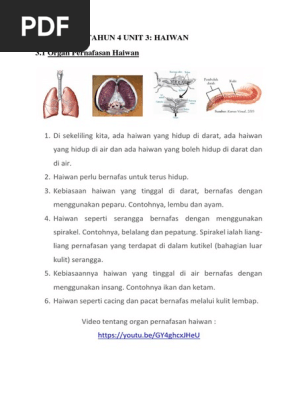Nota Tahun 4 Unit 3 Haiwan Pdf