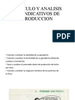 Calculo y Analisis de Indicativos de Produccion
