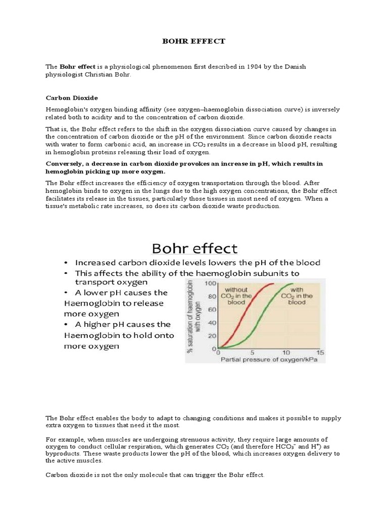 Bohr Effect PDF Hemoglobin Physical Sciences