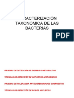 Caracterización Taxonómica de Las Bacterias