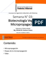 Clase 3-Biotecnologia Vegetal-Micropropagación