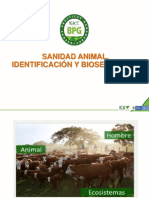 Sanidad Animal Curso BPG Virtual Ica WW