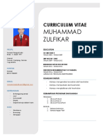 Curriculum Vitae