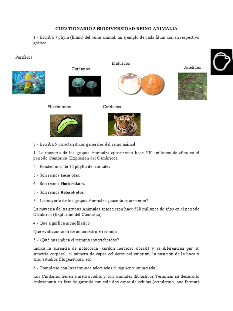 Principales Categorías Taxonómicas en Biología, image size:768x1024