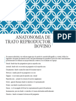 Anatatonomia de Trato Reprroductor Bovino