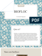 Biofloc
