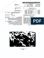 Iiihiiii: United States Patent (19) (11) Patent Number: 5,145,743