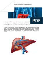 Manual para Limpieza Del Higado