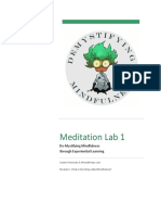 Meditation Lab 1