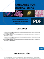 Mehu130 - U1 - T04 - Enfermedades Por Enterobacterias