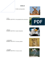 Nombres científicos de animales y plantas