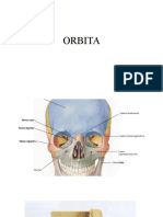 ORBITA