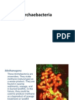 Biology - ARCHAEBACTERIA & EUBACTERIA