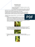 Entomología Agrícola - Plagas Del Cacao-1 - 9379