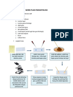 WORK PLAN PARASITOLOGI Anal Swab (Repaired)