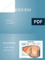 PERIDERM 