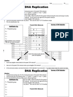 DNA Replication: C G A T G T Identification Key P Phosphate Group D A C T G
