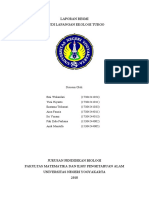 Laporan Resmi Ekologi Gunung