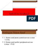 Sistem Saraf