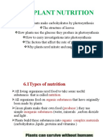 Plant Nutrition