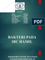 bakteri ibu hamil