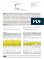 Serotonin Syndrome: Pathophysiology, Clinical Features, Management, and Potential Future Directions