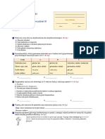 Test-Po-Dziale - III-stawonogi-i-miecza