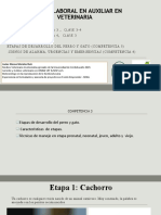 Competencia 3-4 Corte 1 Clase 3-4 Etapas de Vida Del Perro y Gato - Diferencia Entre Urgencia y Emergencia