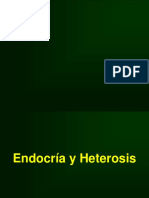 Endocriay Heterosis