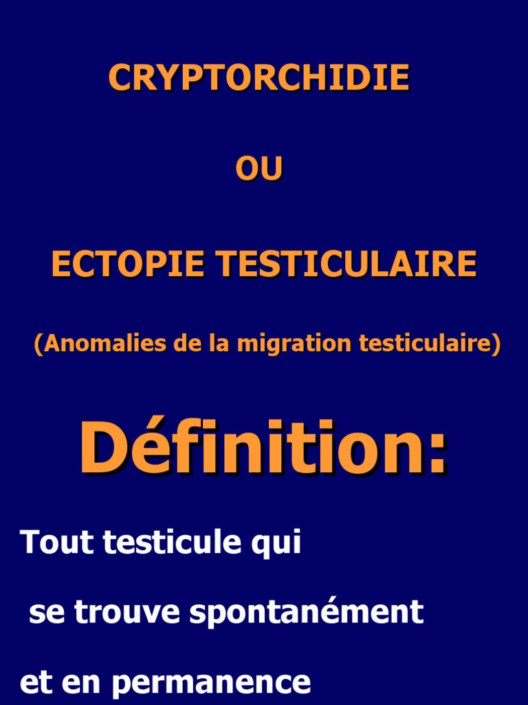 cryptorchidie-et-ectopie-testiculaire-pdf-testicule-mammif-res-m-les