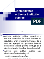 Activele instituţiei publice
