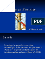 Poda en Frutales