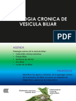 Patologia Cronica VB