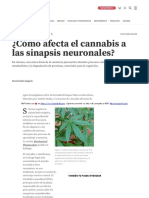WWW - Investigacionyciencia - Es - Noticias - Cmo Afecta El Cannabis A Las Sinapsis Neuronales 16822
