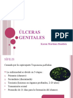 Ulceras Genitales