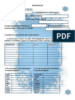 Substantivul Test Final