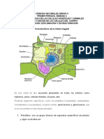 Semana 4 Naturales 4.2