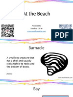 At The Beach Flashcards