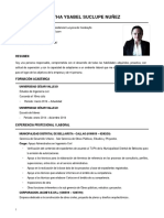 CV Completo