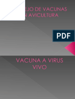 vacunas 2