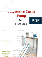 Progressive Cavity Pump For STEM Cepu